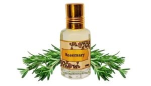 Read more about the article Twistedlily Rosemary Perfume Oils (Roll-on, 12ml.) Long Lasting & Alcohol Free Attar for Men and Women (ROSEMARY, 12ml. Pack of 1)